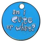 D16 Text Tag 27mm Am I cute or what - Engravable & Gifts/Pet Tags