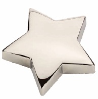 R7770 Star Paper Weight