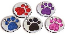 GLT-01000 25mm Nickel Plated Pet Tag with Glitter Paw Insert