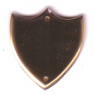 G6N Gilt Annual record Shield 29mm x 32mm