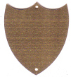 BS4N Brass Plated Steel Shield 40m x 42mm