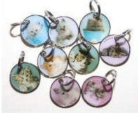 Rachael Hale Cats Pet Tags - Engravable & Gifts/Pet Tags