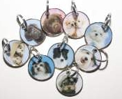 Rachael Hale Dogs Pet Tags - Engravable & Gifts/Pet Tags