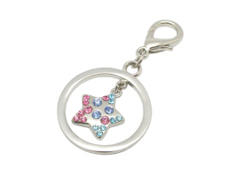 PC40 Pet Charm Star Colour Crystals - Engravable & Gifts/Pet Charms