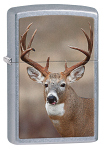 Zippo 29081 Deer - Zippo/Zippo Lighters