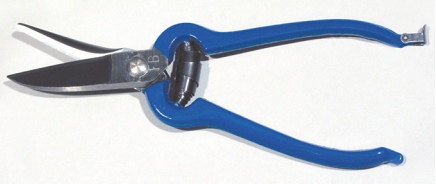 Leather Shears 9 (FOR1901)