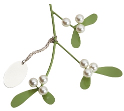 R7765B Mistletoe with engraving Plate XMAS GIFT - Engravable & Gifts/Xmas Gifts