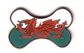 A6WD Pet Tags Bone Welsh Dragon